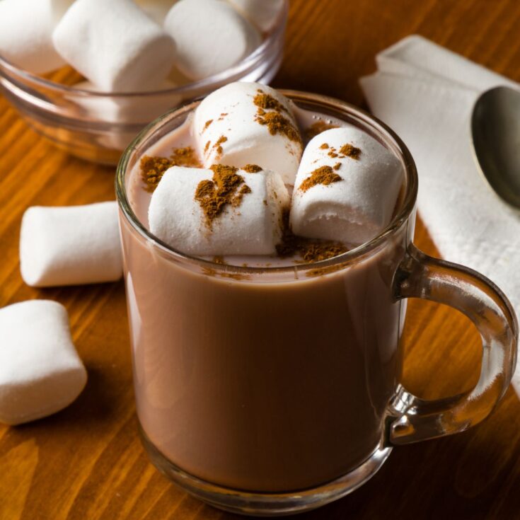 Homemade hot cocoa in a glass mug with marshmallows