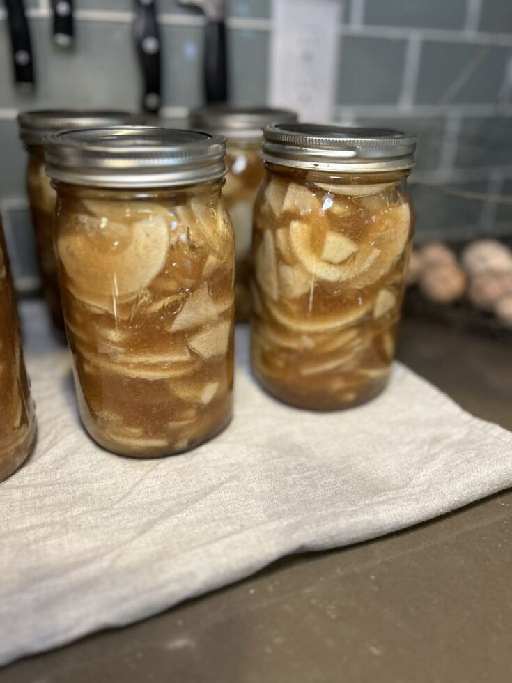 Canned apple pie filling on counter