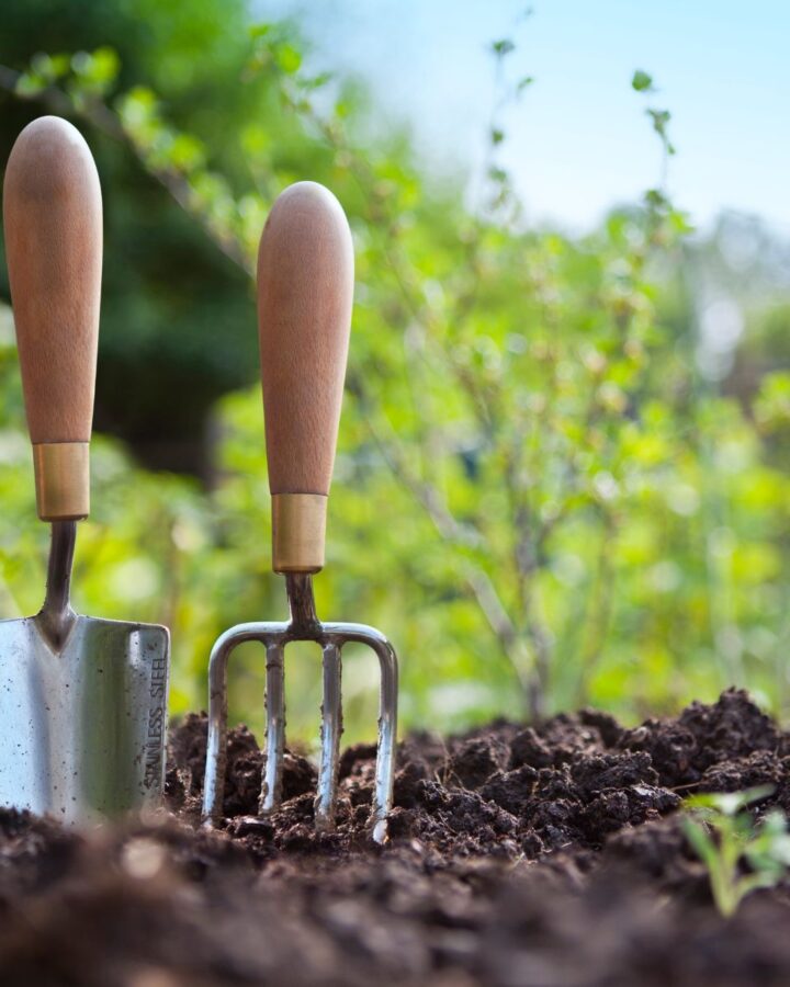 trowel in freshly turned soil