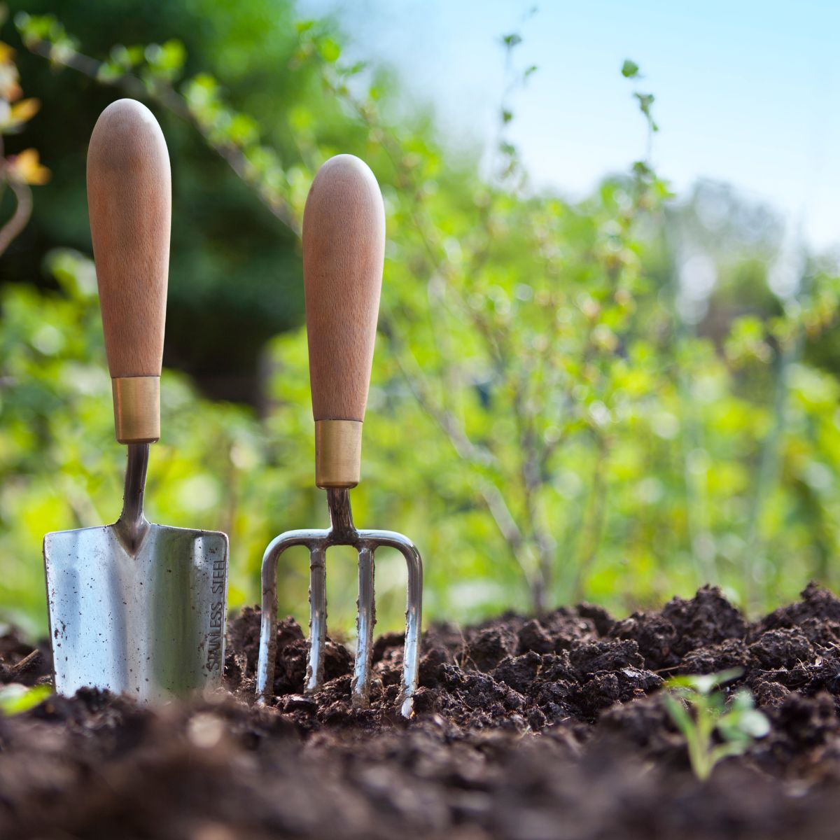 trowel in freshly turned soil