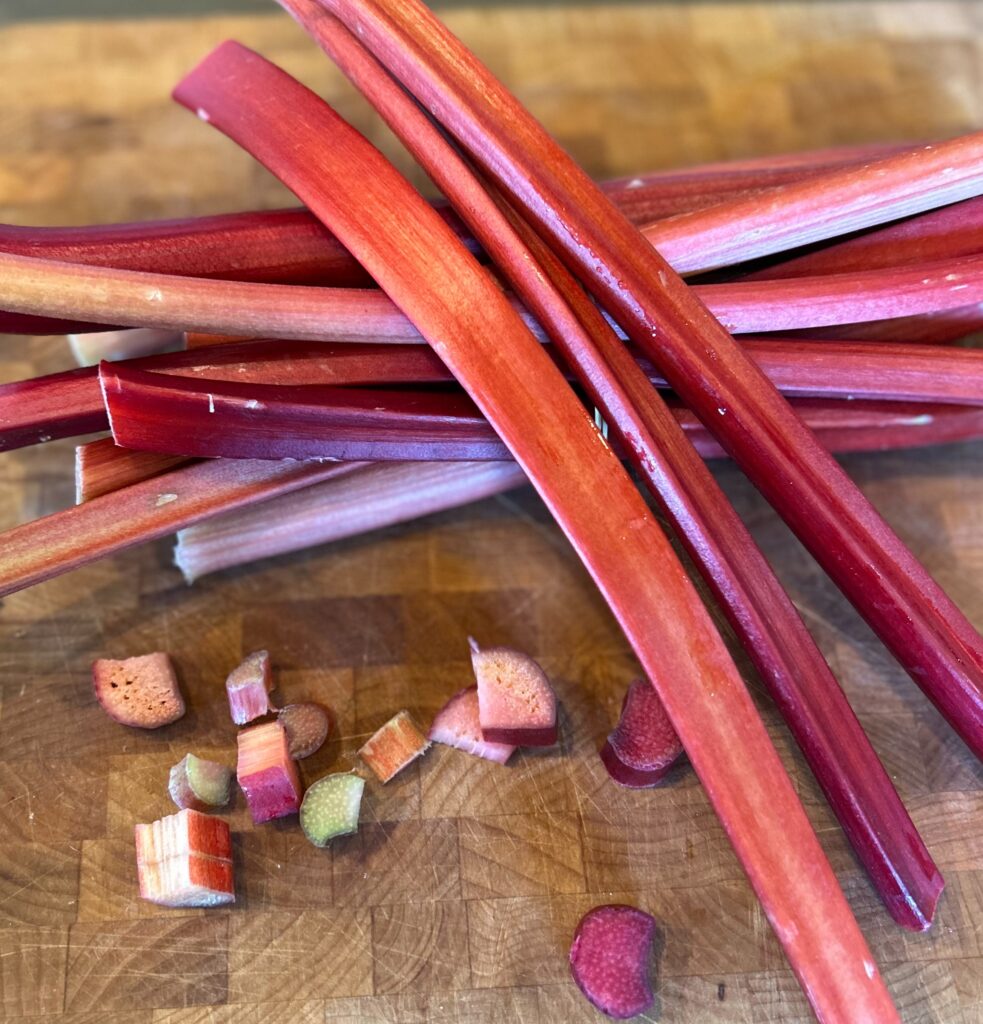 Rhubarb stalk